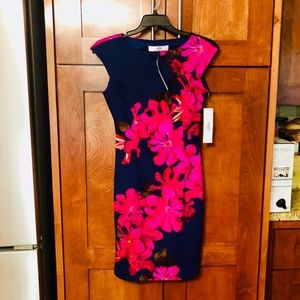 Stitch Fix~ Navy and fuchsia sheath dress